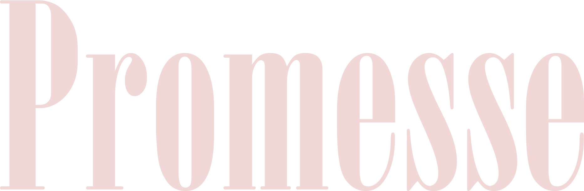 Logo Promesse rose